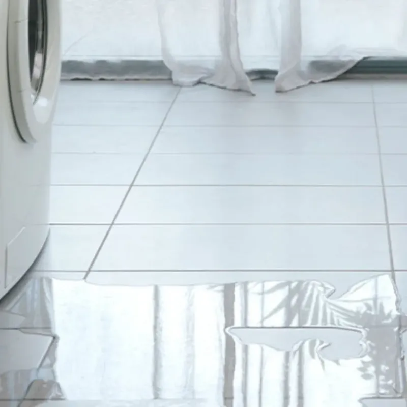 Appliance Leak Cleanup in Deer Valley, AZ